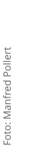 Foto: Manfred Pollert